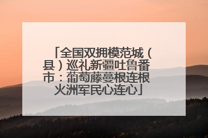 全国双拥模范城（县）巡礼新疆吐鲁番市：葡萄藤蔓根连根 火洲军民心连心