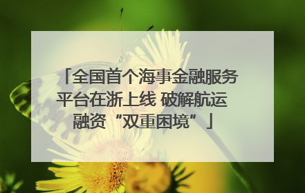 全国首个海事金融服务平台在浙上线 破解航运融资“双重困境”
