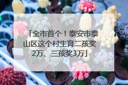 全市首个！泰安市泰山区这个村生育二孩奖2万、三孩奖3万