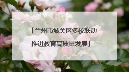 兰州市城关区多校联动推进教育高质量发展