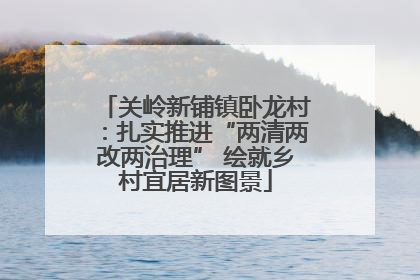 关岭新铺镇卧龙村：扎实推进“两清两改两治理” 绘就乡村宜居新图景