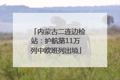 内蒙古二连边检站：护航第11万列中欧班列出境