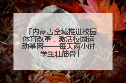 内蒙古全域推进校园体育改革，激活校园运动基因——每天两小时 学生壮筋骨