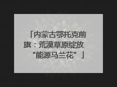 内蒙古鄂托克前旗：荒漠草原绽放“能源马兰花”
