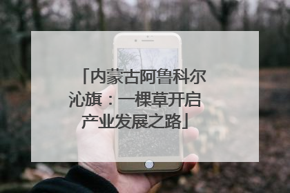 内蒙古阿鲁科尔沁旗：一棵草开启产业发展之路