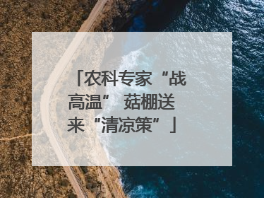 农科专家“战高温” 菇棚送来“清凉策”