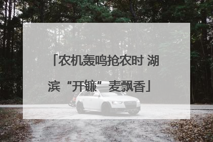 农机轰鸣抢农时 湖滨“开镰”麦飘香