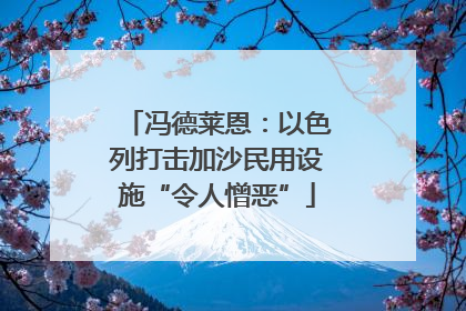 冯德莱恩：以色列打击加沙民用设施“令人憎恶”