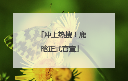 冲上热搜！鹿晗正式官宣