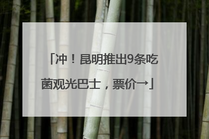 冲！昆明推出9条吃菌观光巴士，票价→