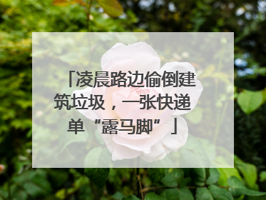 凌晨路边偷倒建筑垃圾，一张快递单“露马脚”