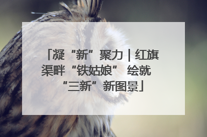 凝“新”聚力｜红旗渠畔“铁姑娘” 绘就“三新”新图景