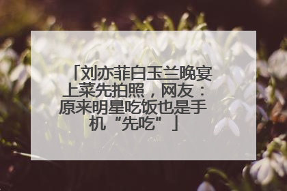 刘亦菲白玉兰晚宴上菜先拍照，网友：原来明星吃饭也是手机“先吃”