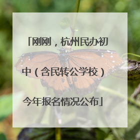 刚刚，杭州民办初中（含民转公学校）今年报名情况公布