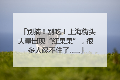 别摘！别吃！上海街头大量出现“红果果”，很多人忍不住了……