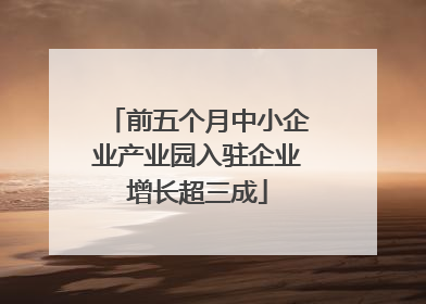 前五个月中小企业产业园入驻企业增长超三成