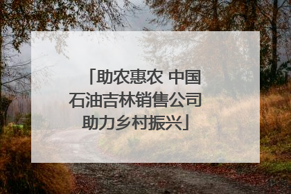 助农惠农 中国石油吉林销售公司助力乡村振兴