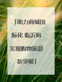 助力商城国际化 临沂将实现购物旅游新突破