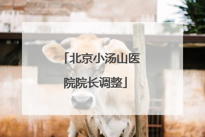北京小汤山医院院长调整