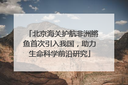 北京海关护航非洲鳉鱼首次引入我国，助力生命科学前沿研究