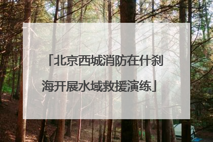 北京西城消防在什刹海开展水域救援演练