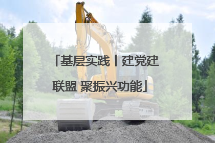 基层实践丨建党建联盟 聚振兴功能