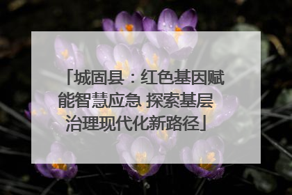 城固县：红色基因赋能智慧应急 探索基层治理现代化新路径
