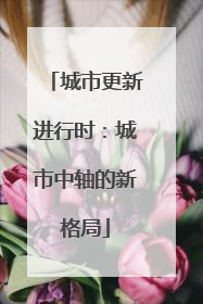 城市更新进行时：城市中轴的新格局