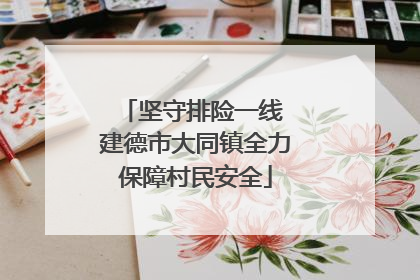 坚守排险一线 建德市大同镇全力保障村民安全