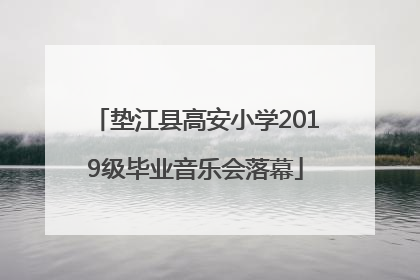 垫江县高安小学2019级毕业音乐会落幕