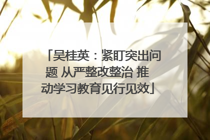 吴桂英：紧盯突出问题 从严整改整治 推动学习教育见行见效