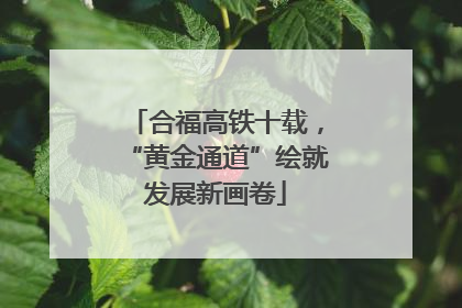 合福高铁十载，“黄金通道”绘就发展新画卷