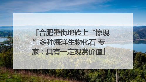 合肥罍街地砖上“惊现”多种海洋生物化石 专家：具有一定观赏价值