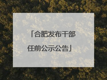 合肥发布干部任前公示公告