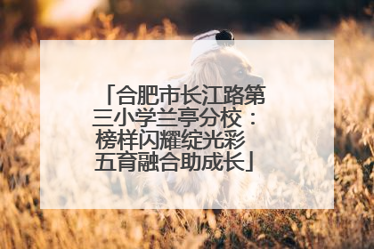 合肥市长江路第三小学兰亭分校：榜样闪耀绽光彩 五育融合助成长
