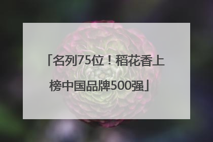 名列75位！稻花香上榜中国品牌500强