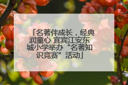 名著伴成长，经典润童心 宜宾江安东城小学举办“名著知识竞赛”活动