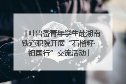 吐鲁番青年学生赴湖南铁道职院开展“石榴籽·祖国行”交流活动