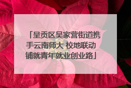 呈贡区吴家营街道携手云南师大 校地联动铺就青年就业创业路