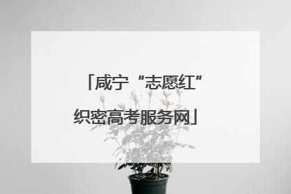 咸宁“志愿红”织密高考服务网