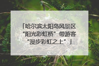 哈尔滨太阳岛风景区“阳光彩虹桥”带游客“漫步彩虹之上”