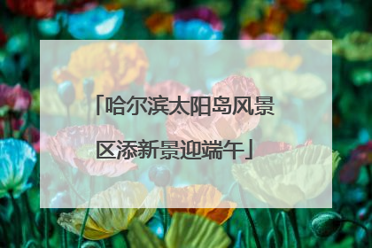 哈尔滨太阳岛风景区添新景迎端午