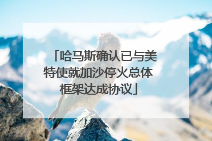哈马斯确认已与美特使就加沙停火总体框架达成协议