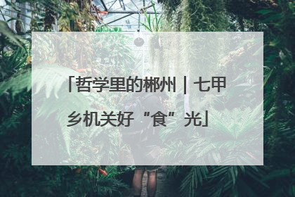 哲学里的郴州｜七甲乡机关好“食”光