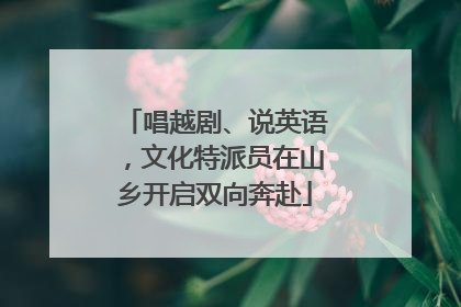 唱越剧、说英语，文化特派员在山乡开启双向奔赴