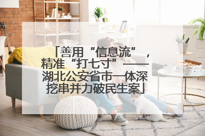 善用“信息流”，精准“打七寸”——湖北公安省市一体深挖串并力破民生案
