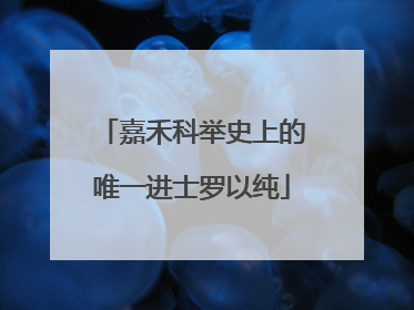 嘉禾科举史上的唯一进士罗以纯