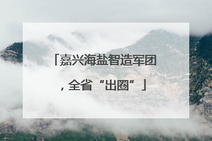 嘉兴海盐智造军团，全省“出圈”