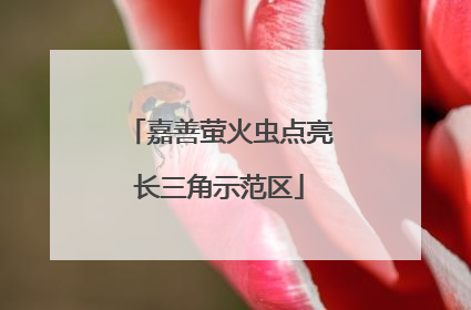 嘉善萤火虫点亮长三角示范区