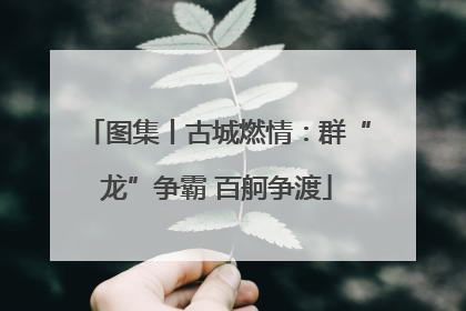 图集丨古城燃情：群“龙”争霸 百舸争渡